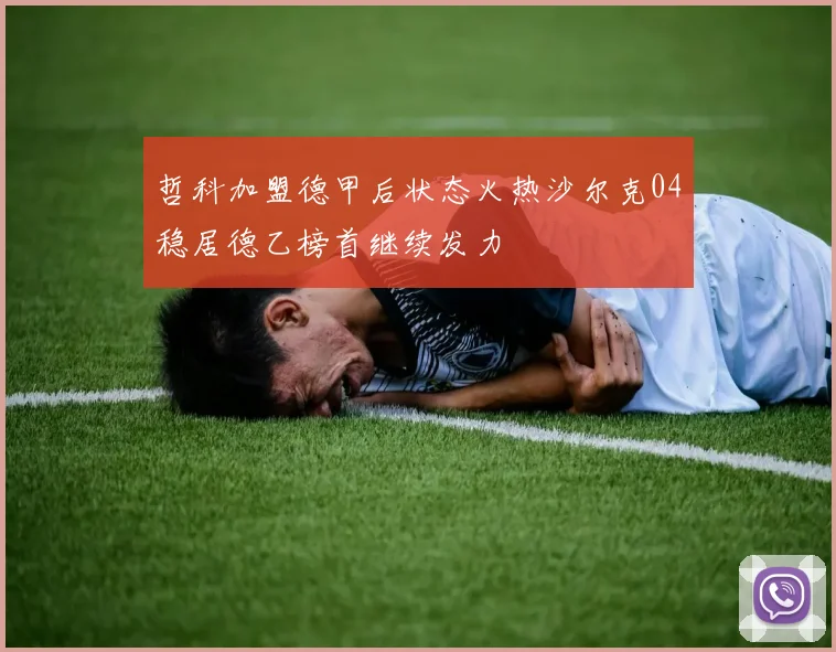 哲科加盟德甲后状态火热沙尔克04稳居德乙榜首继续发力