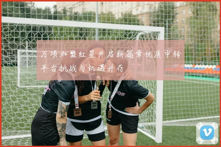 万项加盟红星开启新篇章优质中转平台挑战与机遇并存