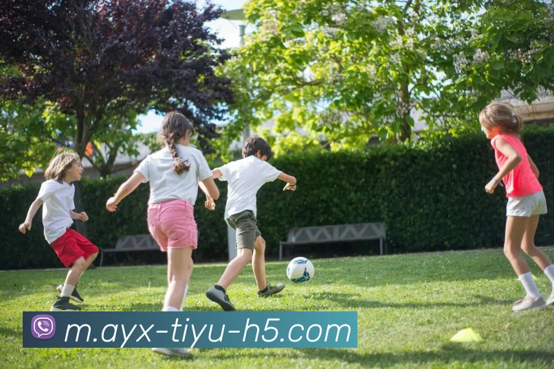 爱游戏发展历程