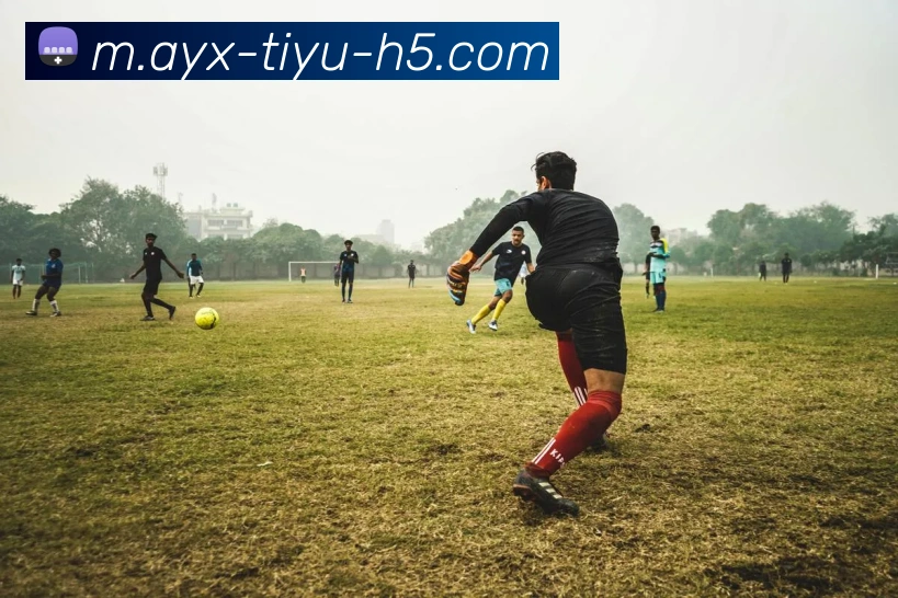 詹姆斯今日助攻12次距离超越基德仅差495次本赛季有望达成目标